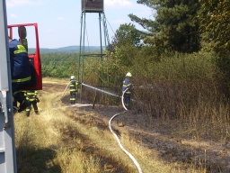 strniště